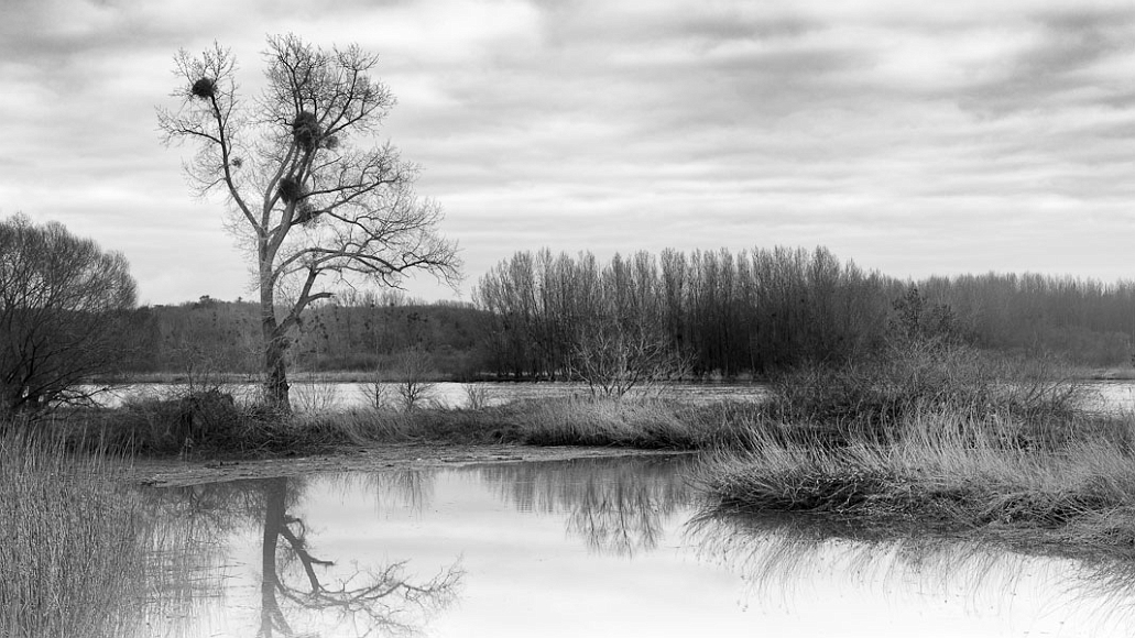 20120108-L1015635.jpg