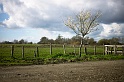 20110313-L1009040
