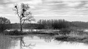 20120108-L1015635
